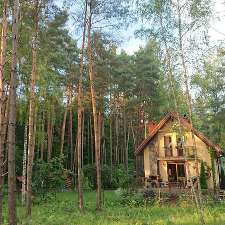 Villa Dom Na Skraju Lasu à Wilkasy Extérieur photo
